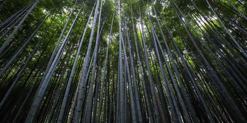 移动应用中的实时通信功能实现：技术选型与最佳实践——以移动美容服务与涂鸦艺术App设计为例