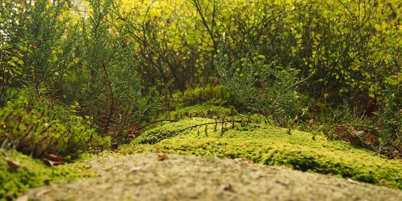 移动应用订阅模式设计：从定价策略到用户生命周期管理 | 赋能移动美容与涂鸦艺术应用